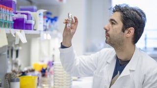 Porträtt på Felipe Cava, universitetslektor vid Institutionen för molekylärbiologi, Umeå universitet.