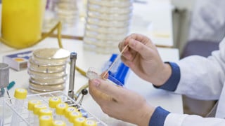Porträtt på Felipe Cava, universitetslektor vid Institutionen för molekylärbiologi, Umeå universitet.