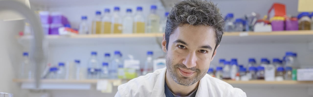 Porträtt på Felipe Cava, universitetslektor vid Institutionen för molekylärbiologi, Umeå universitet.
