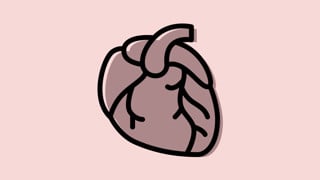 Illustration för forskningsområde Kardiologi vid Institutionen för folkhälsa och klinisk medicin.