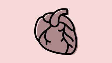 Illustration för forskningsområde Kardiologi vid Institutionen för folkhälsa och klinisk medicin.