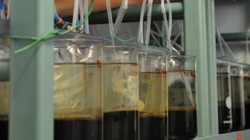 Darya tester sediment 2015