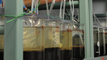 Darya tester sediment 2015