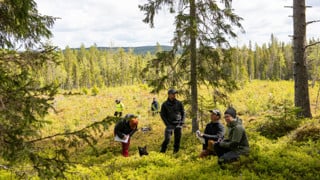 Människor på fältträff i skogen