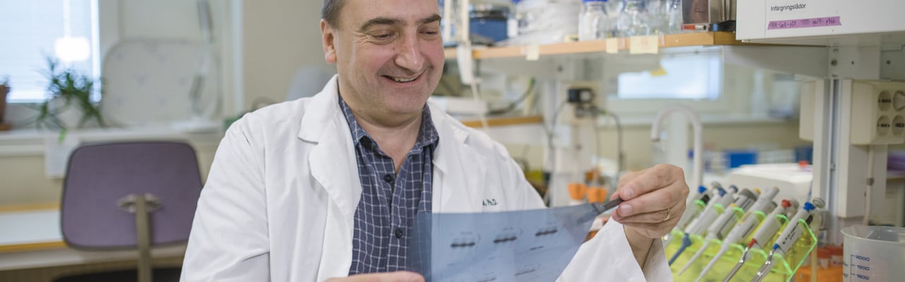 Porträtt av Matthew Francis, professor i bioteknik med inriktning mot molekylärgenetik, Institutionen för molekylärbiologi, Umeå universitet.