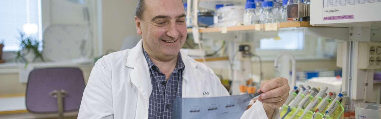 Porträtt av Matthew Francis, professor i bioteknik med inriktning mot molekylärgenetik, Institutionen för molekylärbiologi, Umeå universitet.