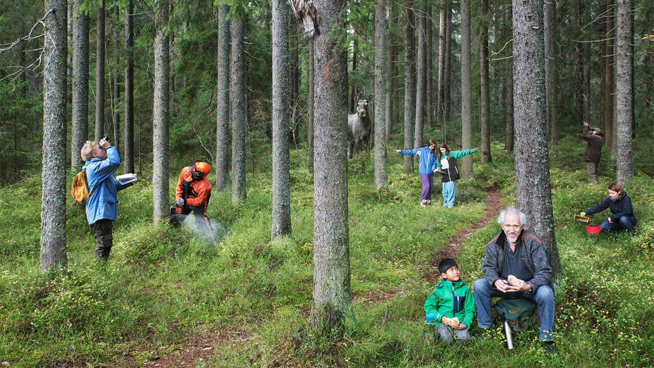 Människor och djur i skogen