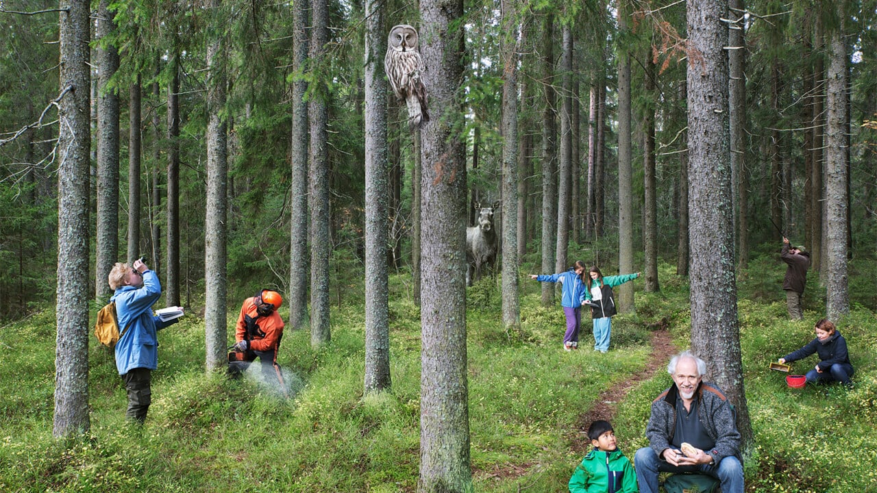 Människor och djur i skogen