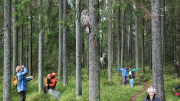 Människor och djur i skogen