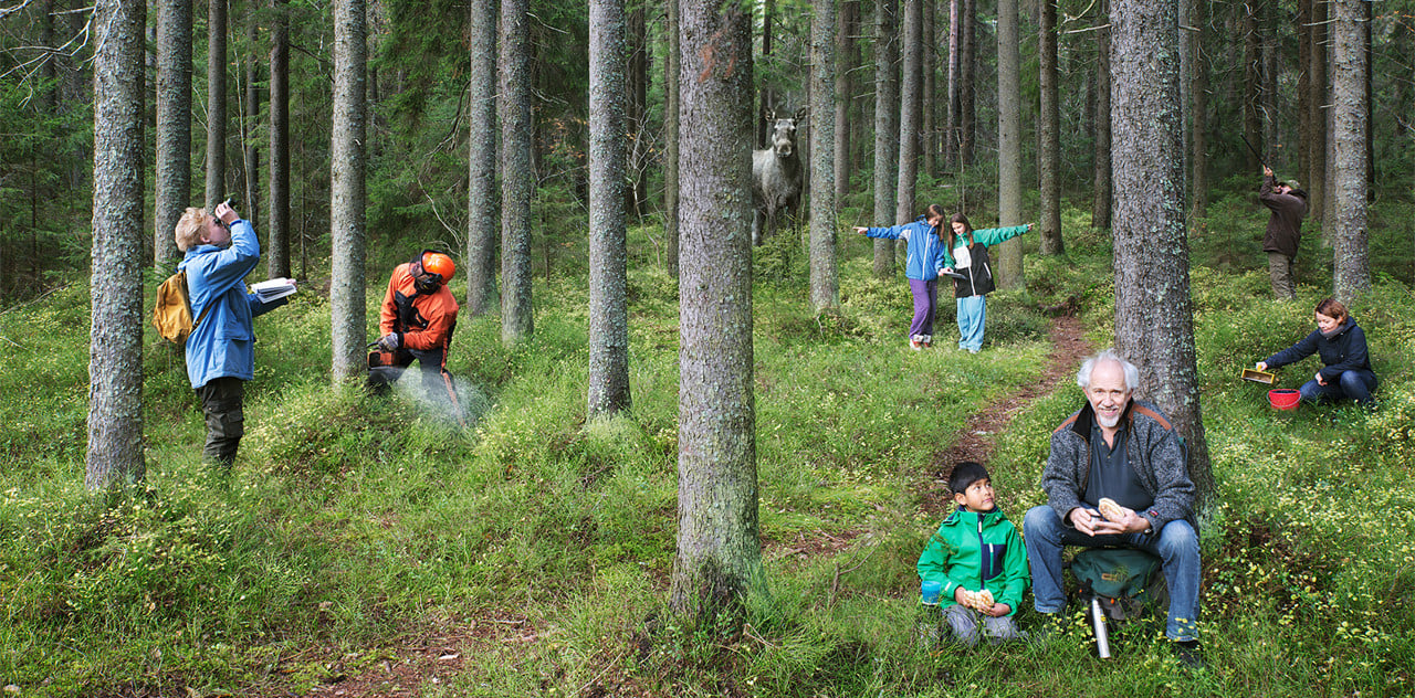 Människor och djur i skogen