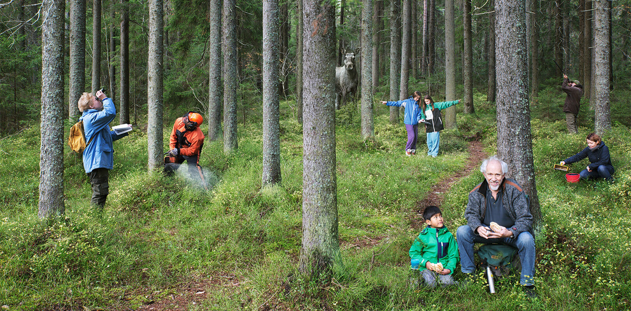 Människor och djur i skogen