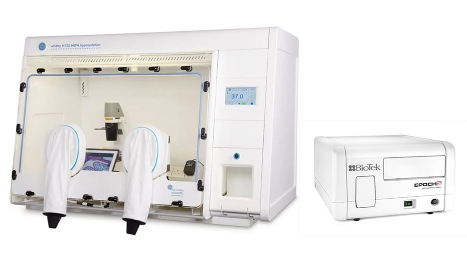 A H135 HEPA Don Whitley workstation and a BioTek Epoch 2