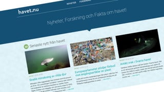 Skärmdump Havet.nu