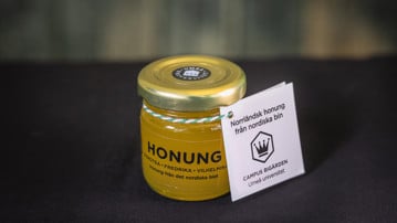 Norrländsk honung från nordiska bin campus bigården