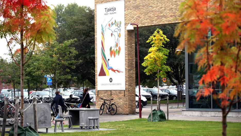 The front of the Humanities building with trees in the foreground.