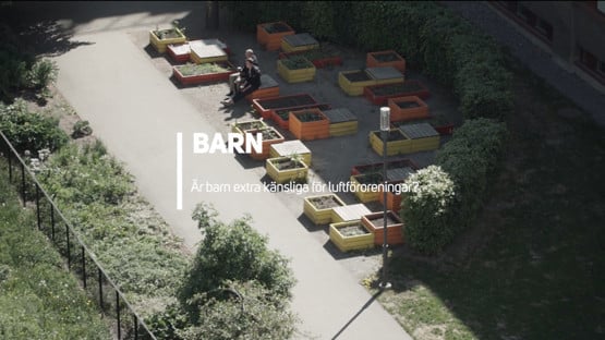 Film: Barn