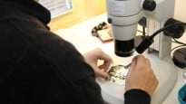 Bild av rygg och händer på en person som studerar ett jordprov i mikroskop på Miljöarkeologiska laboratoriet