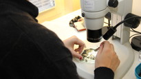 Bild av rygg och händer på en person som studerar ett jordprov i mikroskop på Miljöarkeologiska laboratoriet