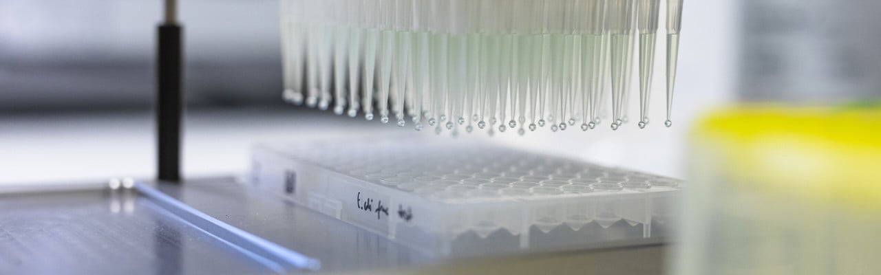 Mateus lab