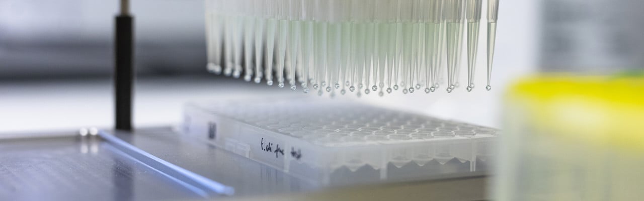 Mateus lab