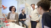 Link to page about the faculty´s research groups