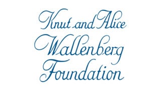 Wallenberg Academy Fellow