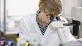 Feature articles and Umeå University profiles