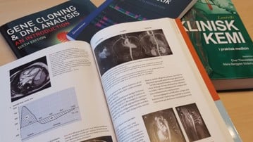 research areas