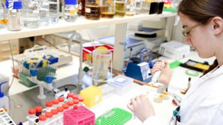 Anaïs Le Rhun, doktorand i molekylärbiologi