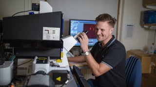 light microscopy bicu
