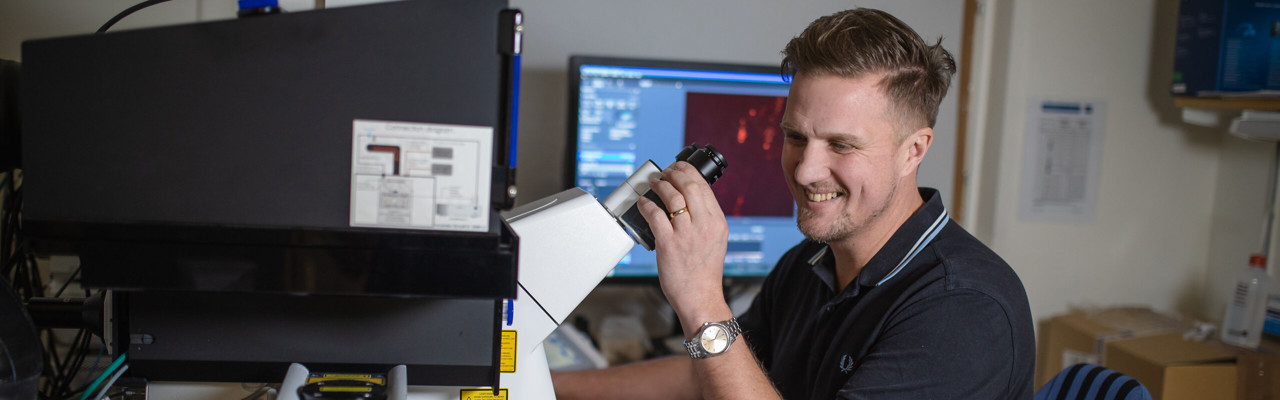 light microscopy bicu