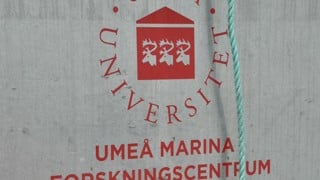 UMF:s logga på båt