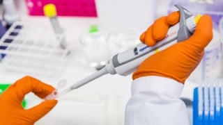 Pipette in the lab.