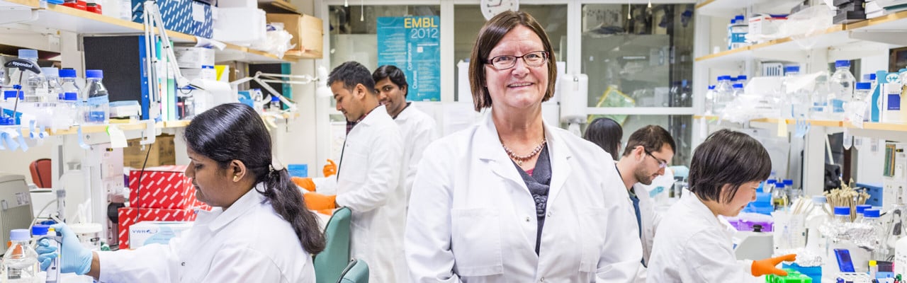 Maréne Landström, professor/överläkare vid Institutionen för medicinsk biovetenskap, enheten för patologi, Umeå universitet.