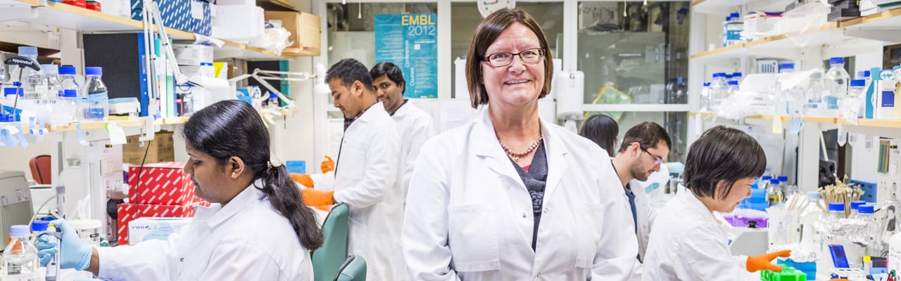 Maréne Landström, professor/överläkare vid Institutionen för medicinsk biovetenskap, enheten för patologi, Umeå universitet.