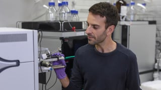 Mateus lab