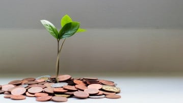 Ur en liten hög mynt på växer en liten grön planta