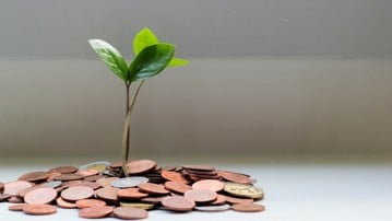 Ur en liten hög mynt på växer en liten grön planta