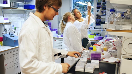 Bild från molekylärbiologilabb