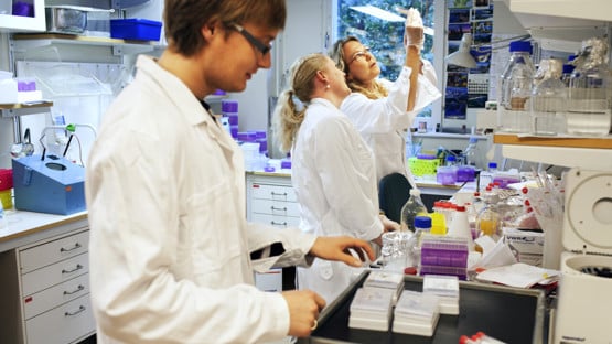 Bild från molekylärbiologilabb