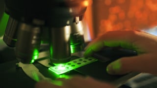 Bild från Molekylärbiologilabb