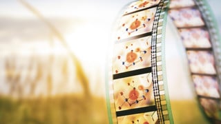Molekylär filmsekvens av fotosyntes