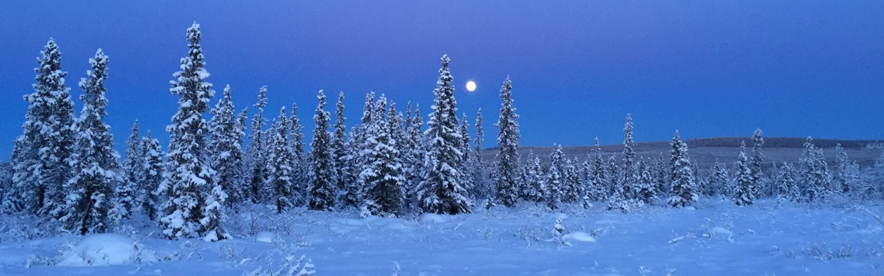 Snö, granar och månen
