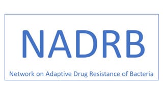 NADBR