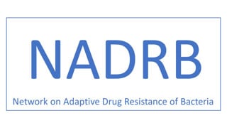 NADBR