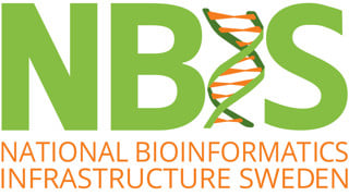Logotype of NBIS