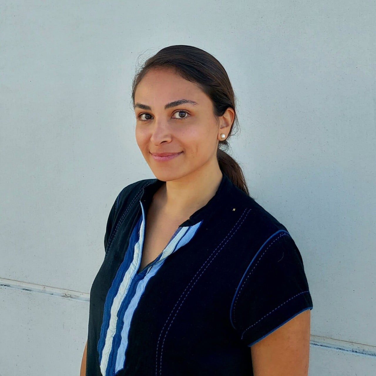 Negar Zojaji, Postdoktor i konst- och bildvetenskap