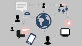 Network grå