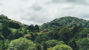 A mountain in japan with a small temple visible among the trees