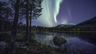TAIGA är ett centrum i norra Sverige. Bilden visar sjö och skog upplyst av norrsken på natthimmel.